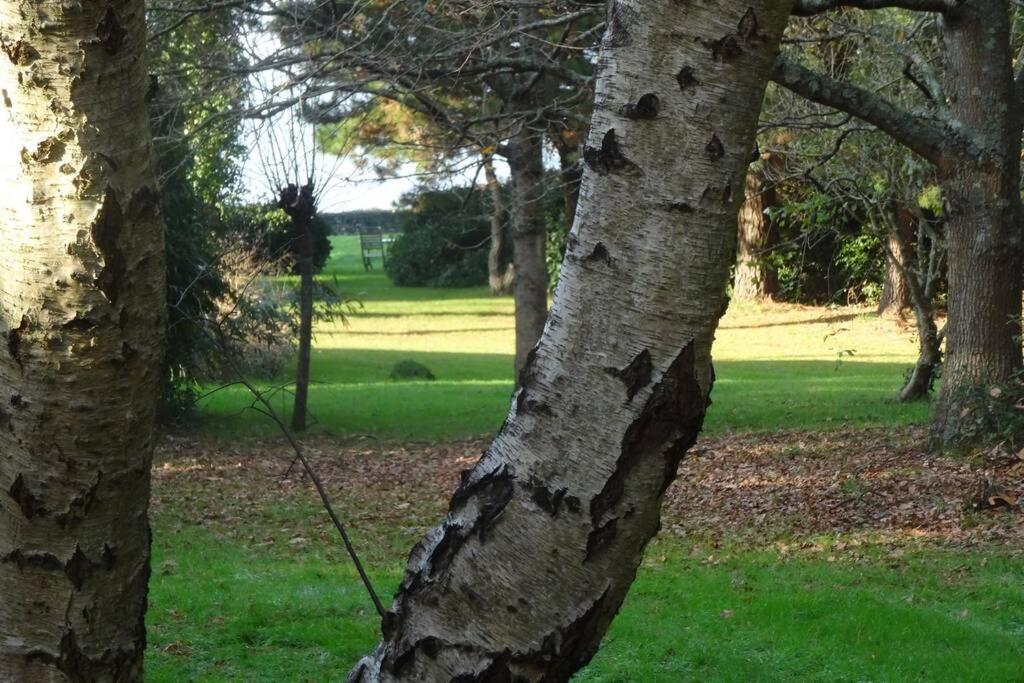 Ty Too, dans les bois, face mer Pénestin Extérieur photo